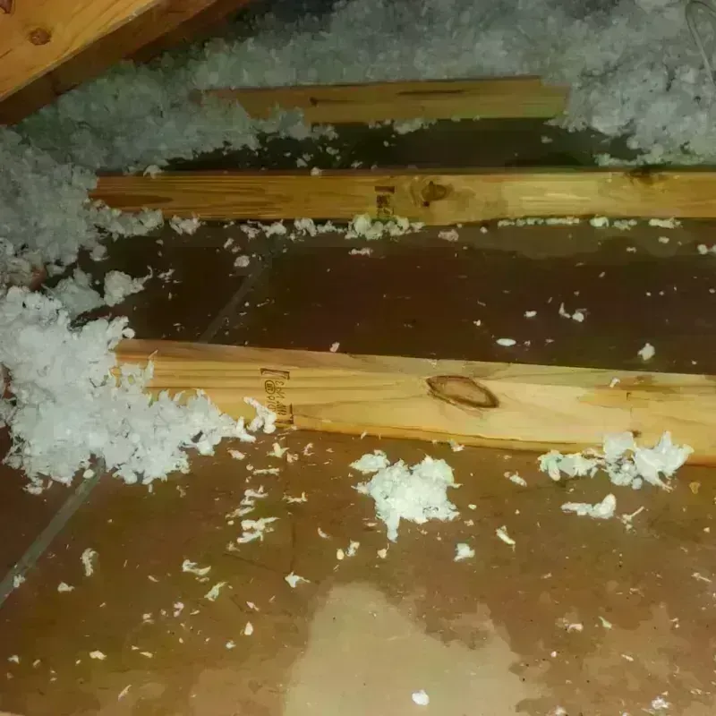 Attic Water Damage in Logan Elm Village, OH